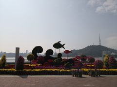 -野狸岛