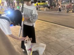 -芭比堂动物医院(广州爱宠下渡路分院)