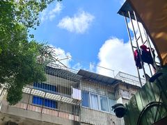 -樹下遇见树·咖啡