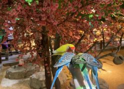 -酷嗒动物文化乐园(cutezoo西溪乐天城店)