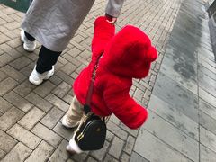 -Dior迪奥(恒隆广场童装店)