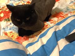 -PETKIT 小佩宠物·低压洗护·美容·寄养(安远店)