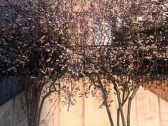 -山东师范大学(千佛山校区)