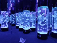 -成都浩海立方海洋公园