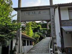 -龙井村