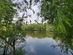 -长白岛森林公园