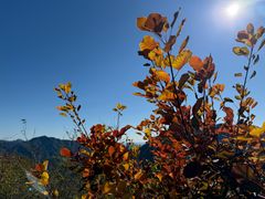 -大岭沟猕猴桃谷风景区