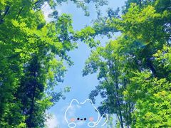 -桤木河湿地公园