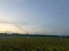 -上海杨姆庄园