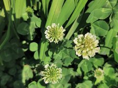 -哈尔滨文化公园