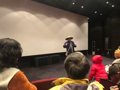 -疏芬山金矿