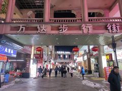 -万达广场(济南高新店)
