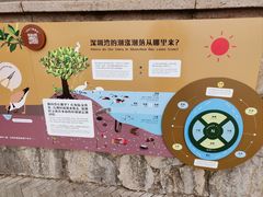 -深圳湾公园(南山区)