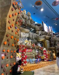 -卡通尼·Safari非洲探索乐园·生日会(金桥国际商业广场店)