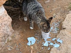 -东极岛景区-东海第一哨灯塔