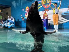 -南昌海洋公园