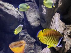 -成都浩海立方海洋公园