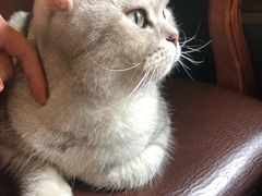 -不舍昼夜咖啡馆