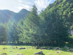 -狮子沟牧场