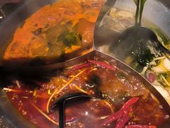 -辣伍鲜毛肚老火锅(元一店)