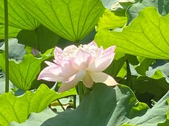 -金桥现代产业园区-停车场