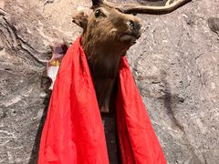 -大瓢把东北绺帮菜(华山路店)