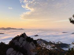 -六里坪国家森林公园