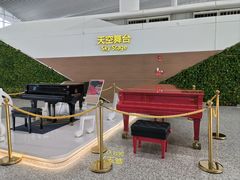 -广州白云国际机场-T2航站楼