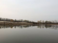 -东郊湿地公园