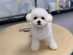 -宠颐生宠物医院·心肾内科·猫专科诊疗中心宠巢店