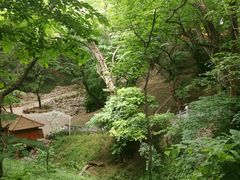 -皇藏峪国家森林公园