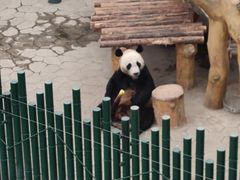 -沈阳森林动物园