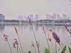 -尚贤河湿地