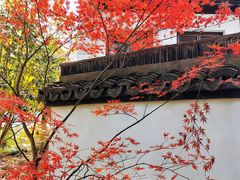 -上海醉白池公园