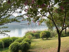 -南宁南湖公园