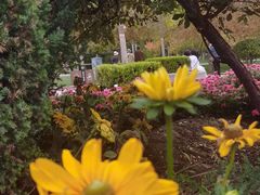 -西宁市人民公园(城西区)