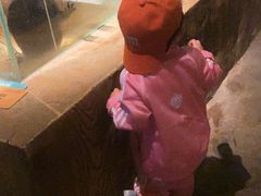 -zoonana室内动物园(东方福来德店)