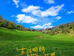 -关山草原