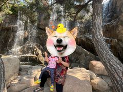 -老虎石海上公园