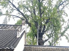 -昭庆寺