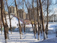 -丁香湖公园