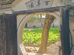-绍兴鲁迅故里·沈园景区
