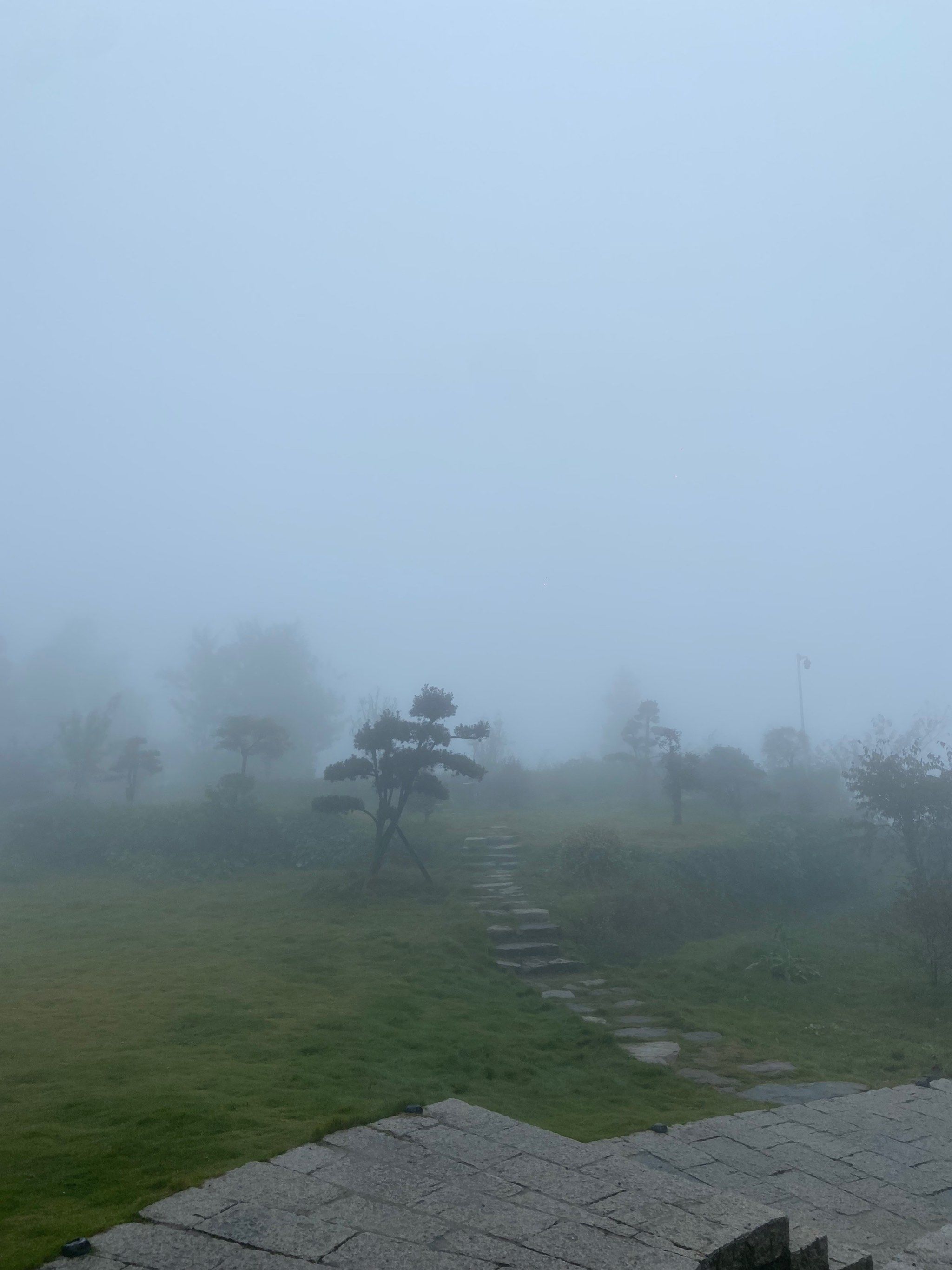 丽水云和天气预报15天