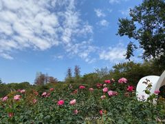 -人民公园(罗湖区)