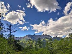 -黄龙山原始森林景区