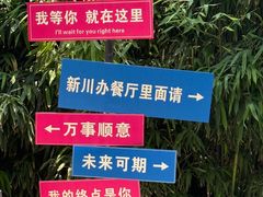 -新川办餐厅