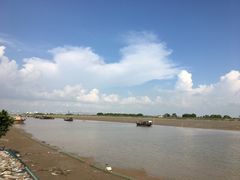 -大湾区中央湿地公园-十九涌