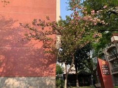 -浙江省杭州高级中学(贡院校区)