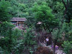 -大岭沟猕猴桃谷风景区