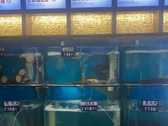 -俏东方·海味水饺·青岛菜(崂山店)